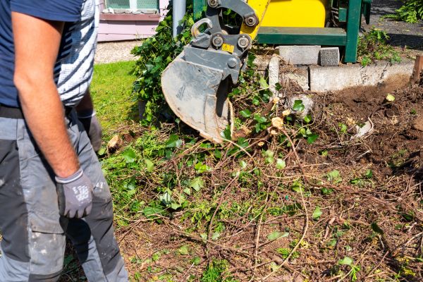 Hedge Removal Service in Lincoln
