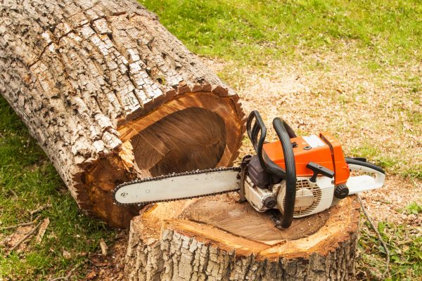 Tree Cutting Service