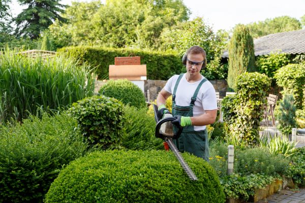 Shrubs Trimming in Lincoln