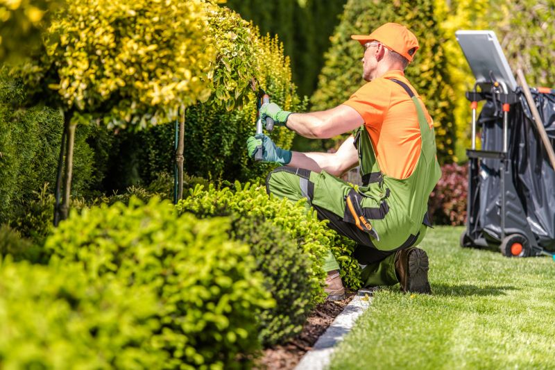 Residential Landscaping Experts